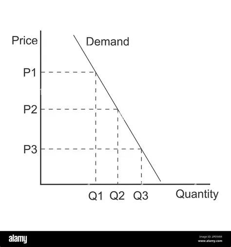 The Graph Shows The Demand Curve What Changes Does The Graph Show at ...