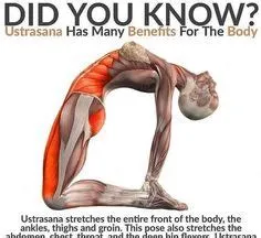 Back and Neck Exercises to combat Kyphosis