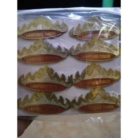 Jual Pin Siger Lampung Timur | Shopee Indonesia