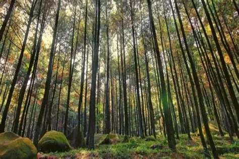 Ada yang Gartis, Cek 5 Destinasi Wisata di Jabodetabek Ini: Banyak ...