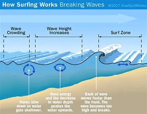 Advice on How to Read a Surf Report and Understand It