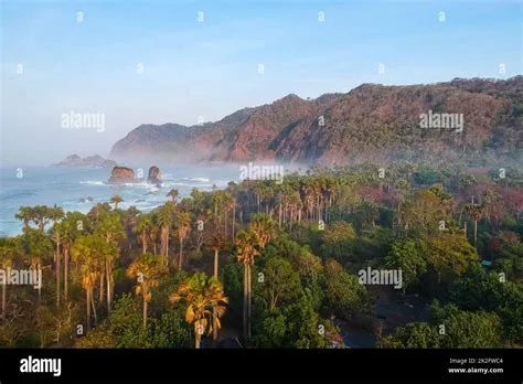 Amazing landscape around Papuma beach in Jember, Indonesia Stock Photo ...