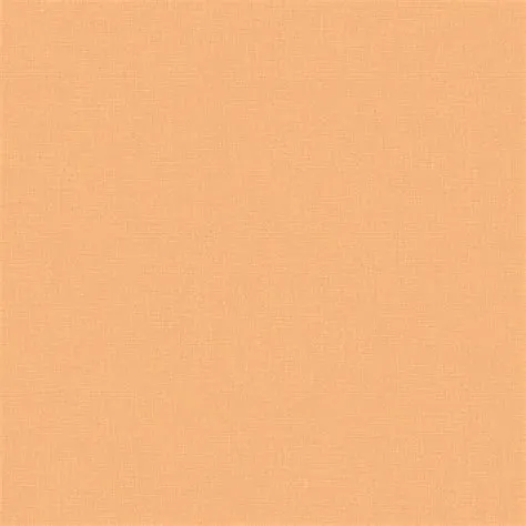 Plain Bright Orange Background