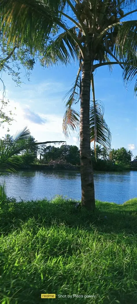 oleh anamiladiyah di Langit Biru ⛅ | Langit biru, Langit, Biru