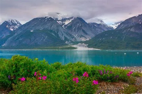 America's Best Parks to Visit in the Spring | Alaska travel, Alaska usa ...