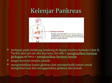 Macam macam jaringan dan kelenjar endokrin | PPT