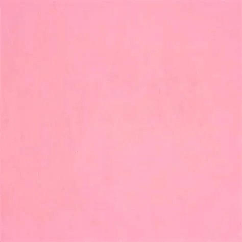 Download Pink Solid Color Wallpaper | Wallpapers.com