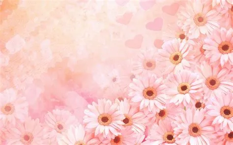 Pink Daisy Background