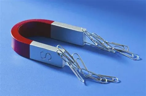 Magnet Science Projects: Attract and Repel Explained