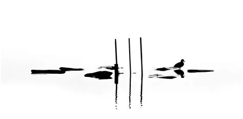 Wie Pinselstriche Foto & Bild | fotos, art, nature Bilder auf fotocommunity