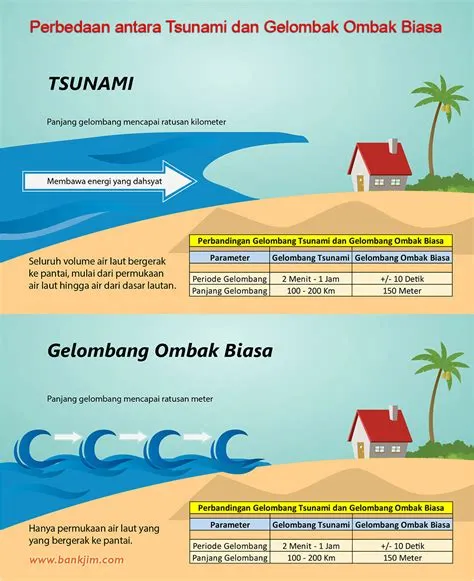 Apa itu tsunami? Apa penyebab, karakteristik dan dampak tsunami. | bankjim