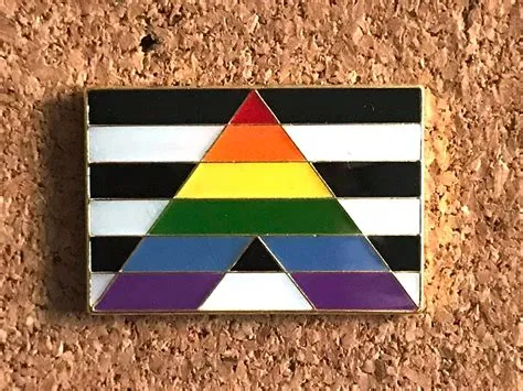 Ally Pin LGBTQ Ally Gift Straight Ally Enamel Pin Ally - Etsy