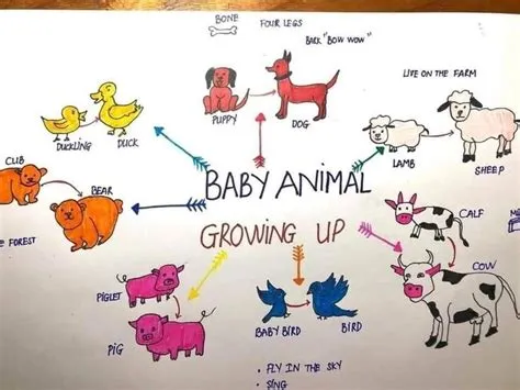 on Mindmap | Maps for kids, Baby animals, Dogs and puppies