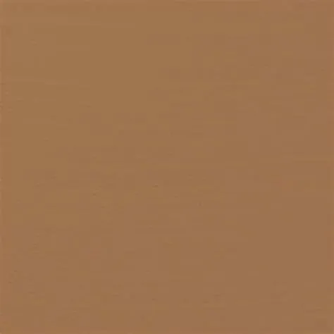 [200+] Light Brown Backgrounds | Wallpapers.com