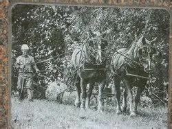 Evelyn Marie Keys Adams (1932-2013) - Mémorial Find a Grave