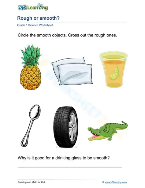 Rough And Smooth Objects For Kids Living/non Living Sorting Set,