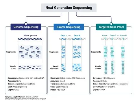 Sequencing Definition Biology at Cindy Larson blog