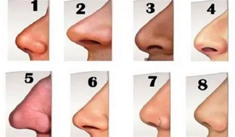 The Shape of Your Nose Reveals Something About Your Personality - Namastest