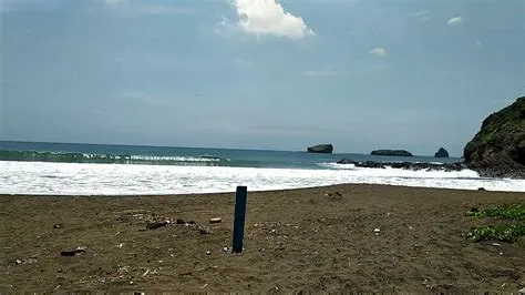 Pantai watulo jember jawa timur - YouTube