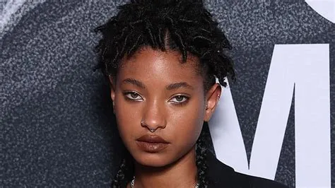 Willow Smith's Braids Are So Long, They Don't Even Fit in Her Latest ...