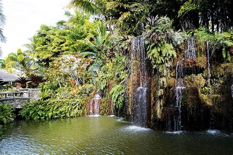 The Other Miami: Redland – Venice magazine