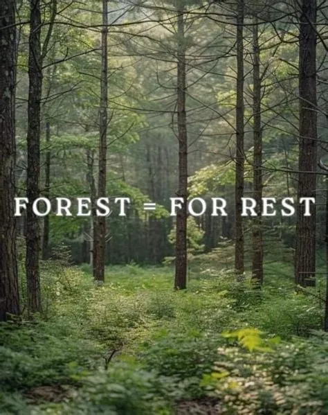 by Terese Maple on I create my experience ️ | Nature quotes, Quotes ...