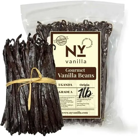 Amazon.com : 1 Lb. Bulk Vanilla Beans Grade A + | 16 oz, Premium ...
