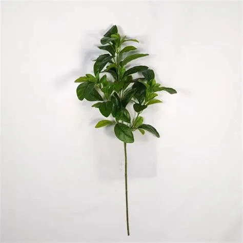 de Michael Hu en Greenery