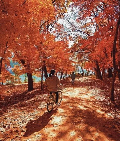 by Jamie on In Love With Fall! | Autumn scenery, Scenery, Autumn nature