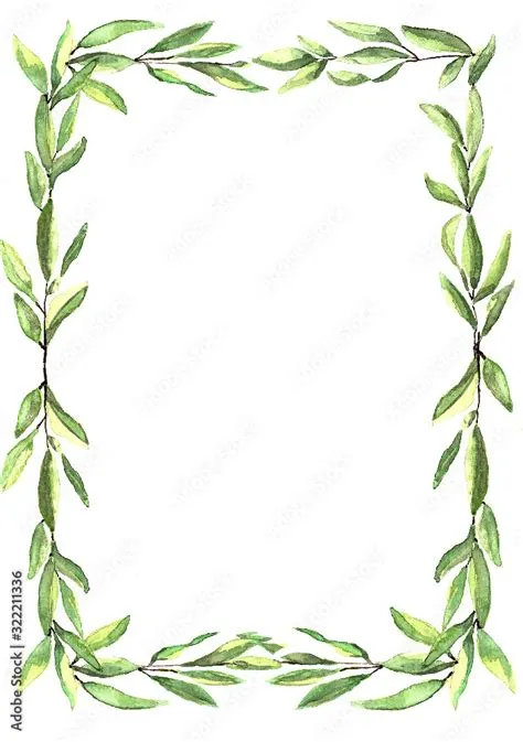 Frame olive Leaves. Olive tree border. Vector element. EPS10.. Element ...