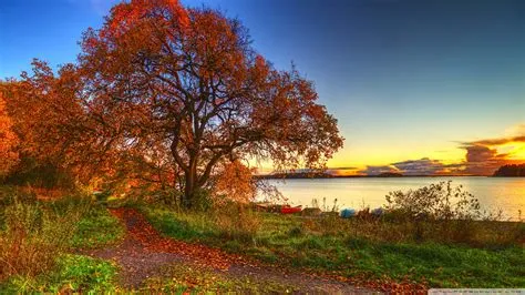 Free Wallpaper of Fall Scenery - WallpaperSafari