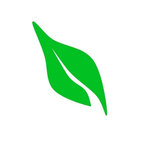 Green leaf icon 23639815 PNG