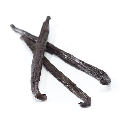 Tahitian Vanilla Beans Bulk | Whole Vanilla Tahitensis Beans