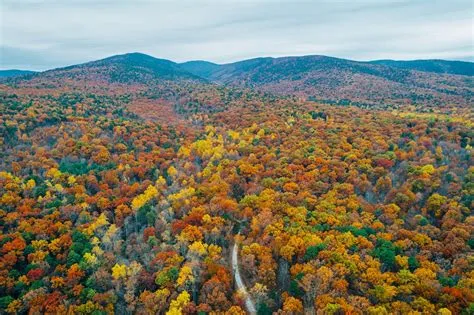 George Washington National Forest