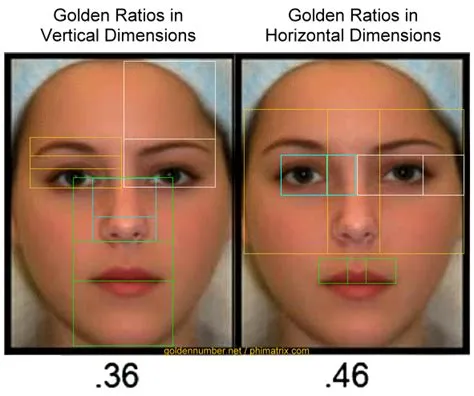 Meisner Beauty Guide for Golden Ratio Facial Analysis