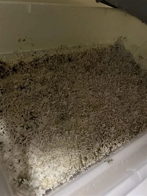 How do I save this! It’s stuck with all these pins and won’t make a ...