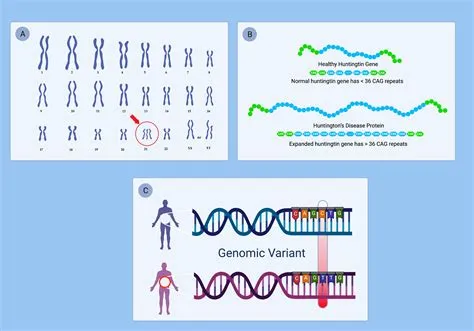 Dna Base Sequence