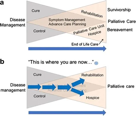 Bow tie model of integrated palliative care. a The Bow Tie Model (BPC ...