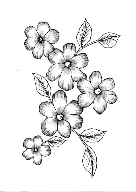 Easy Flower Drawings, Pencil Drawings Of Flowers, Flower Sketches ...