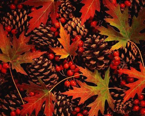 Hình nền Thiên nhiên Mùa Thu - Top Những Hình Ảnh Đẹp