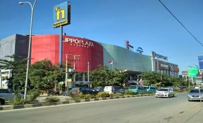 Business Overview | Lippo