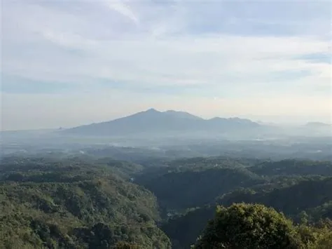 Semarang Tengah Meliputi Daerah Mana Saja? Berikut Informasinya ...