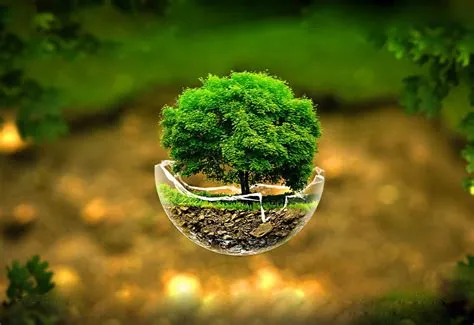 Nature Wallpaper Hd 3d 4k Desktop Wallpaper - Infoupdate.org