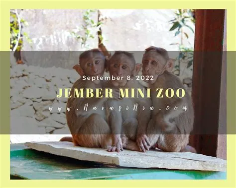 6 Spot Foto Instagramable di Jember Mini Zoo | Blogger Perempuan Network