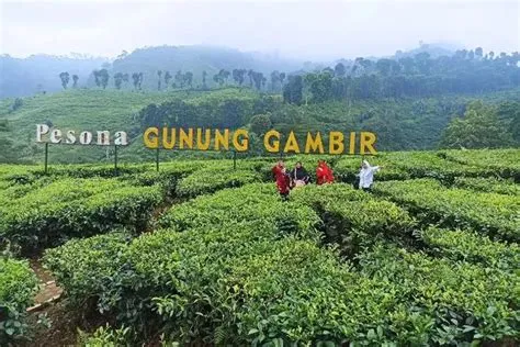 8 Destinasi Wisata Paling Hits yang Ada di Jember, Cocok Buat Kamu yang ...