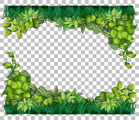 Free nature borderss, Download Free nature borderss png images, Free ...