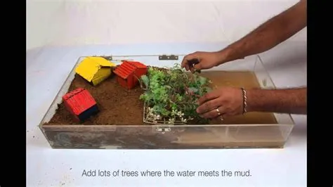 Do-it-yourself experiments-Tsunami | 6th grade science projects ...