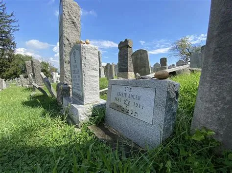 Digilib SMP Negeri 3 Ngawen - Apps on Google Play