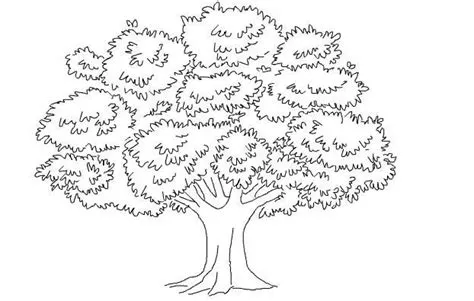 Tes Psikotes Gambar Pohon, Penjelasan, Tips Mengerjakannya