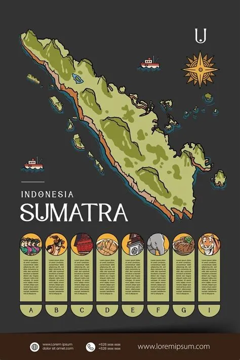 sumatra | Instagram design creative, Infographic illustration ...